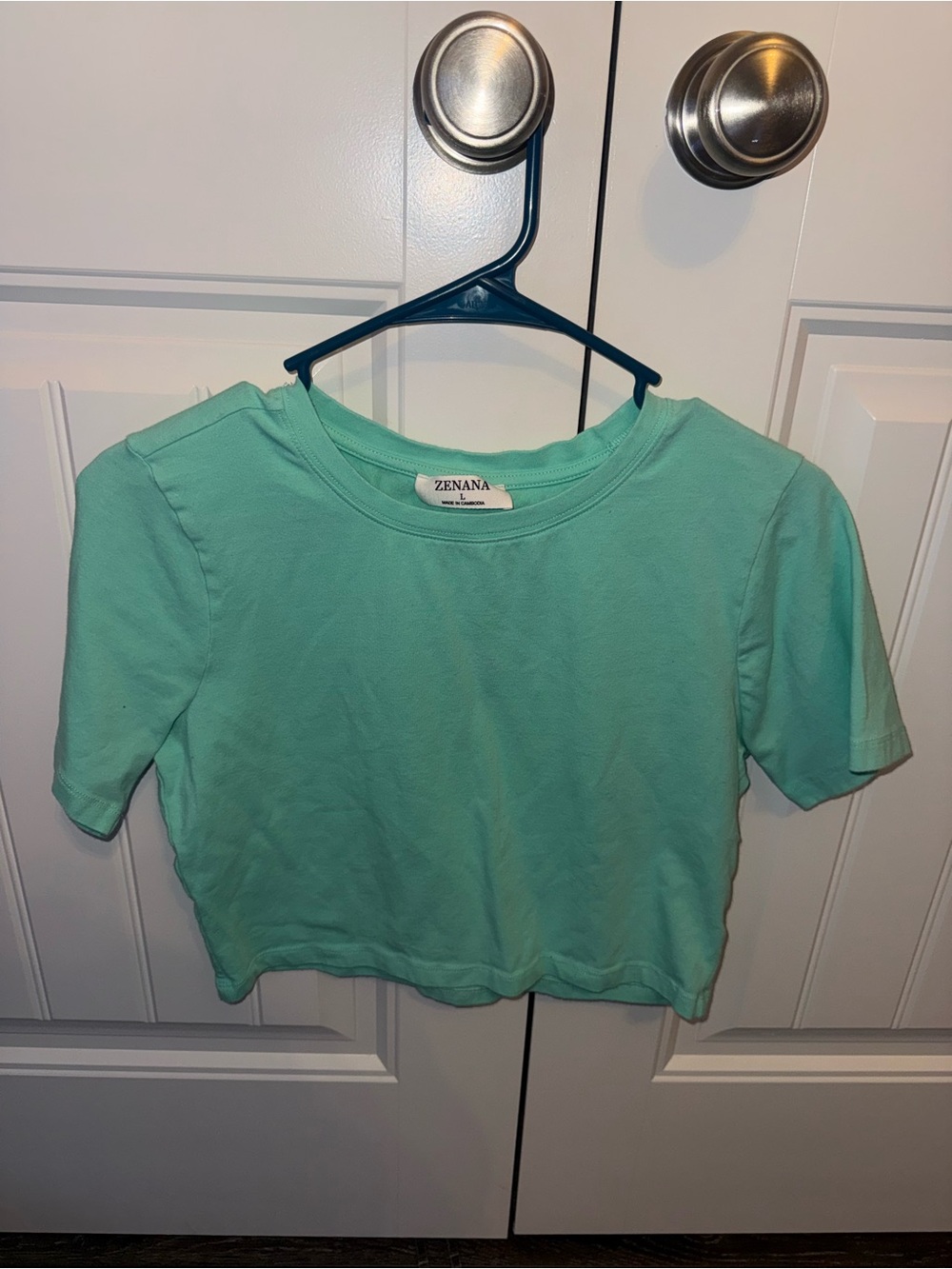 Zenana Outfitters Mint Cropped Crewneck Tee